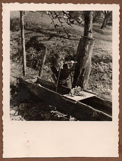 C-1924-Album 01-288-047 c