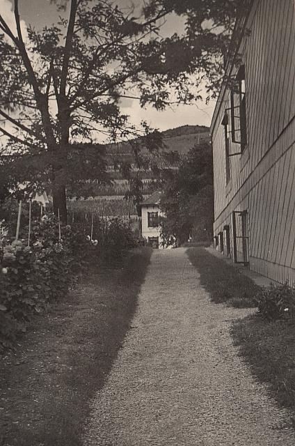 C-1931-00-Album 03-286-019 c