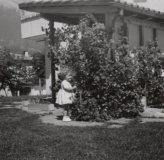 Album 10 002 C-1957-292 d