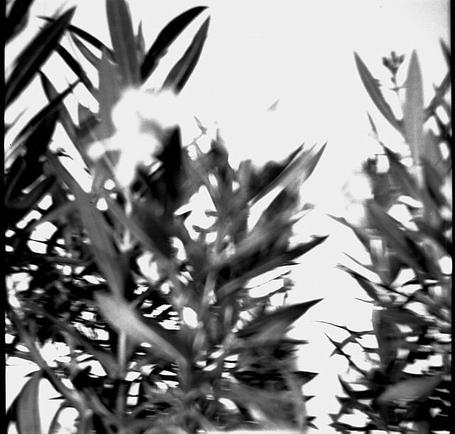 Papi-1954-Aug Italien 09A (11)