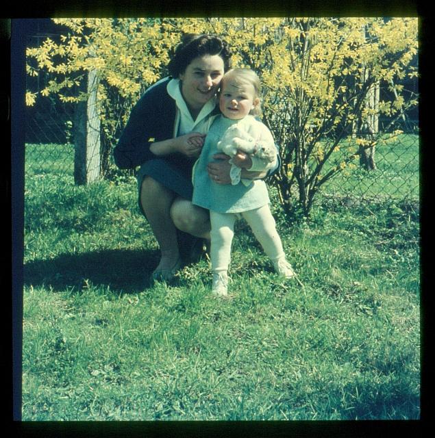 D-01-006-M-00-X0006 Ga