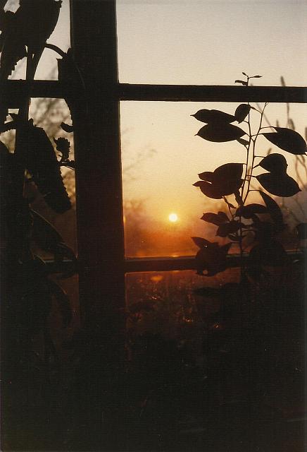 01-109-07-01 a Gallery