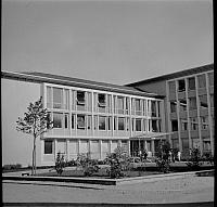 Papi-1954-Familie 04A (15)